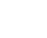salomon-logo