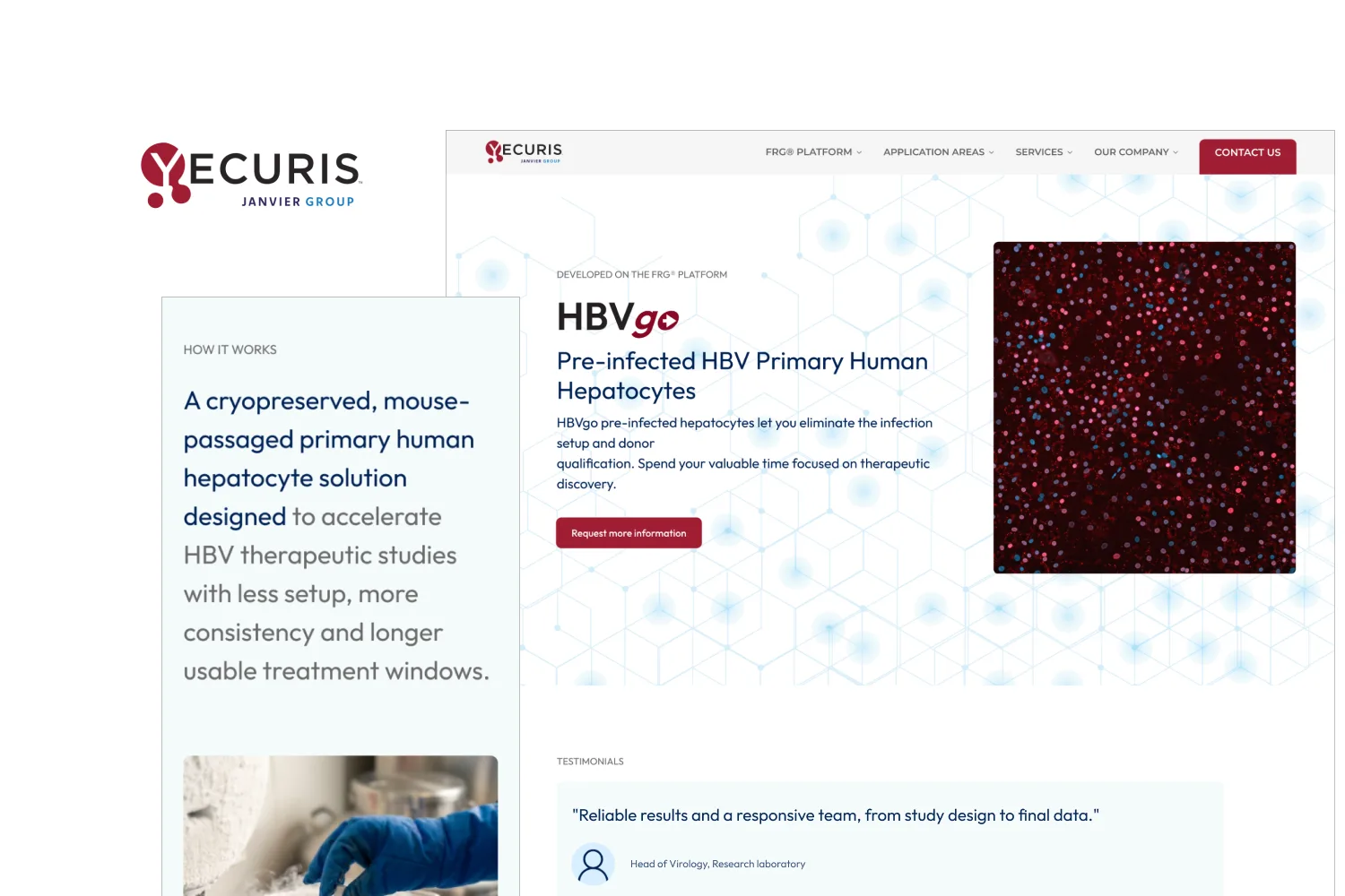 La page produit HBVgo du site Yecuris, société de Janvier Group